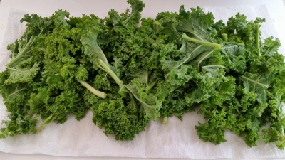 kale with stems